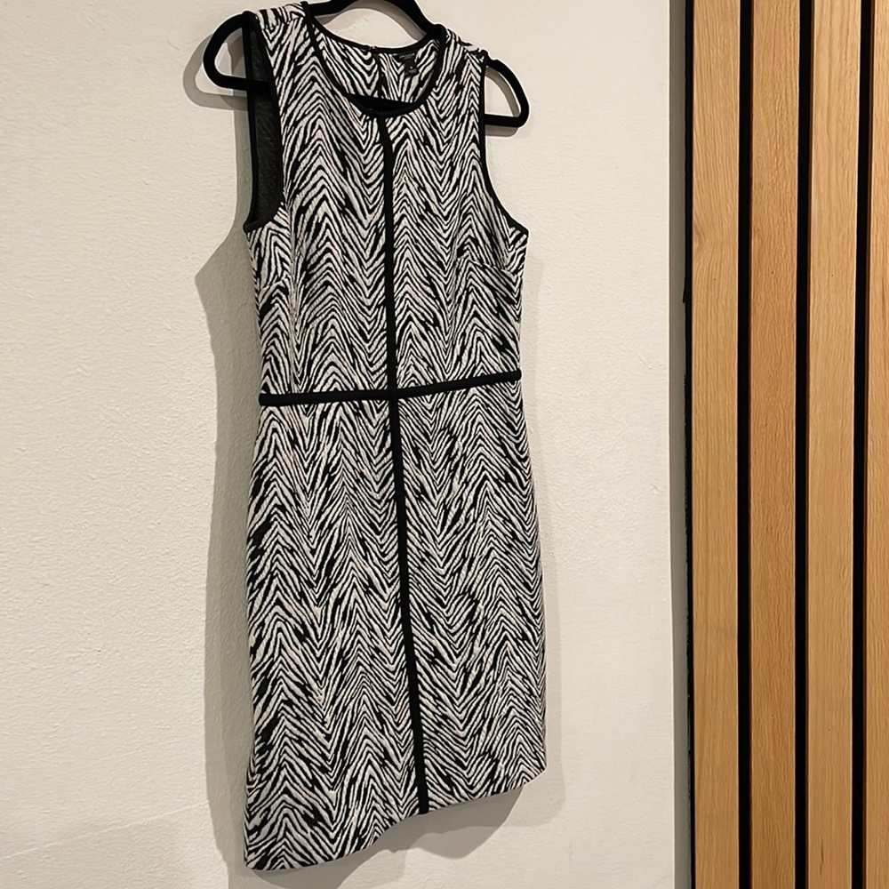 Size 8, Zebra Print Ann Taylor Dress